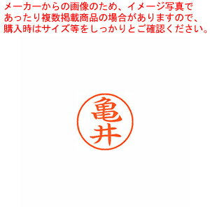 ネーム9 既製 亀井 XL-9 0777 カメイ 1本【厨房館】(3)