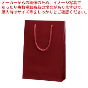 ブライトバッグ SWT 6138202 エンジ 1枚【袋 バッグ プレゼント バレンタイン 家庭用 業務用 ツルツル 高級感 紫根 ギフト ラッピング 紐 手提...