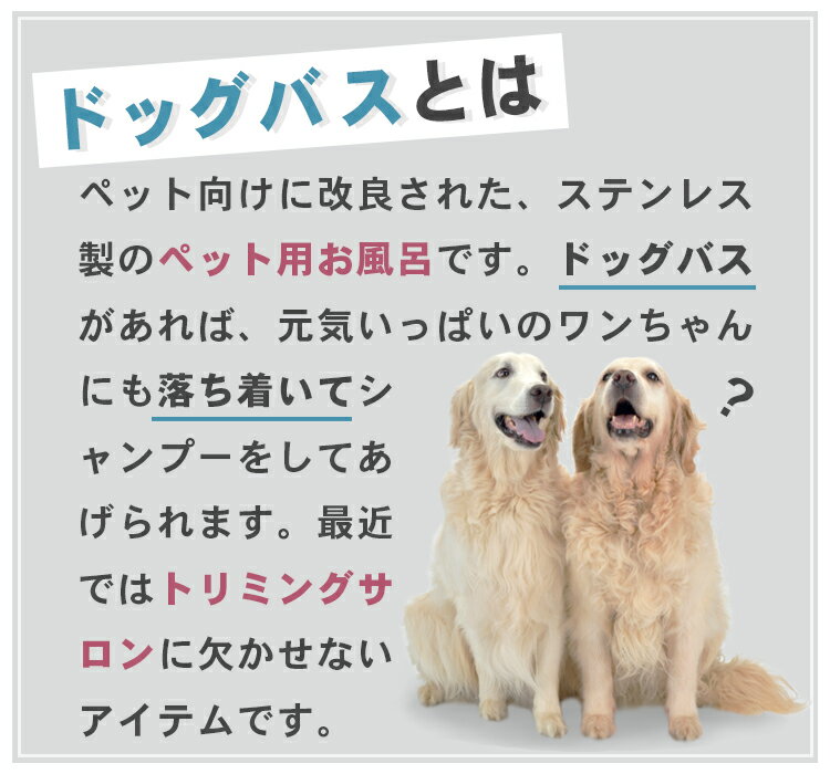 ���ƥ�쥹 �ɥå��Х� 1000��600��1050 ���󥯿�380 BGͭ SUS304 �ڥ᡼����ľ��/��ʧ������Բġۡڥɥå��Х� ������Ϥ �ȥ�ߥ����� ���Х����� �ڥåȥХ����� �ڥå��ѥХ����� ���ѥХ����� �ɥå��Х� ���Τ���Ϥ �ڥå����� ������ή����ۡڿ�˼�ۡ�