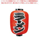 【まとめ買い10個セット品】 ビニール提灯 250 ラーメン 12号長【厨房館】