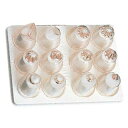 PLS 口金セット 12pcs マトファー 116001 マトファー【業務用カタログ掲載プロ仕様【業務用 絞り袋 口金 クリームホイップ 絞り 口金具 人気 生...