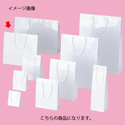 姫路市 可燃中30L手付20枚入半透明 HMJ66 【 （30袋×5ケース）合計150袋セット】 38-613 （ 掃除用品 文房具・事務用品 生活雑貨 オフィス用品 日用品雑貨 日用消耗品 文房具 お掃除 ）