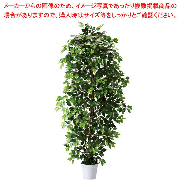立ち木(人工樹木) 210cm ベンジャミングリーン 61-754-95-1 【厨房館】