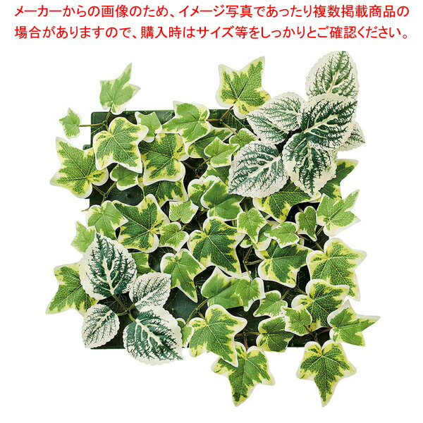ڤޤȤ㤤10ĥåʡۥ륰꡼ 饤ȥ꡼ 1 61-799-5-1 ڿ˼ۡ