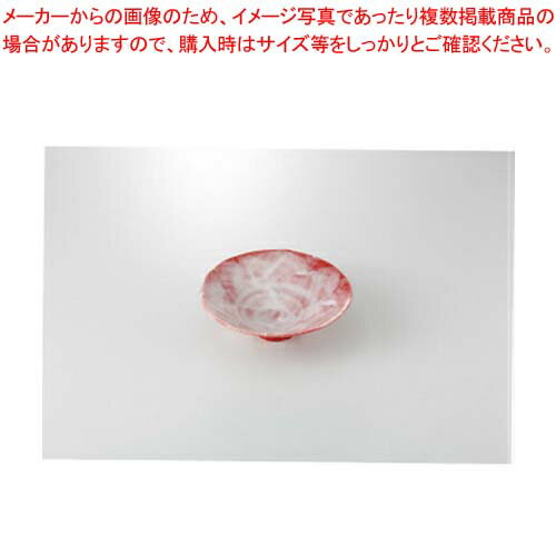 和食器 赤楽 16cm平鉢 37A098-04 まごころ第37集 【キャンセル/返品不可】【厨房館】