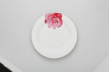 和食器 アムール 10″ディナー 37K398-01 まごころ第37集 【キャンセル/返品不可】【厨房館】