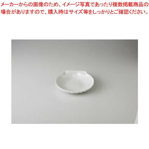 【まとめ買い10個セット品】和食器 白 大貝皿 37Y421-13 まごころ第37集 【キャンセル/返品不可】【厨房館】