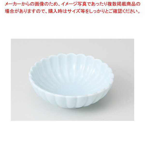 青白磁 菊型鉢 37E126-11【厨房館】