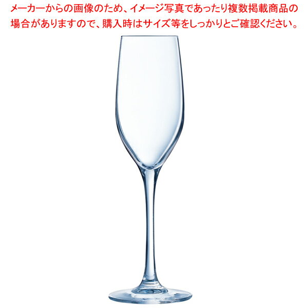 シークエンス フルート 170 (6ヶ入) C&S L9947(F)【厨房館】