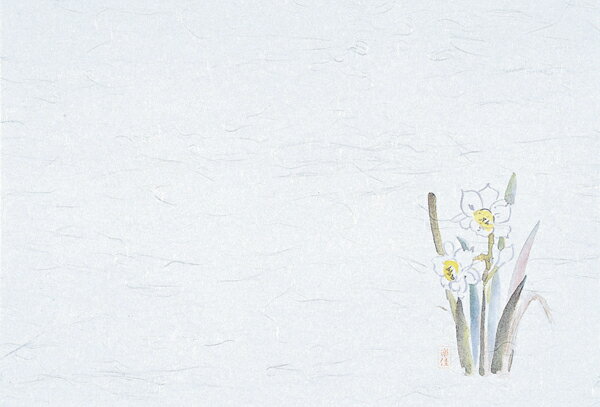 M30-253　四季紙　千寿　水仙　100枚入【厨房館】