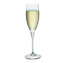 プレミアム モデル No.3 (6個入) ボルミオリ・ロッコ 3000-1105【厨房館】