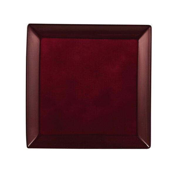パール金属 漆器彩 クリーンコート角大皿 赤溜【厨房館】