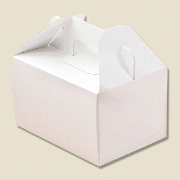 エコパームBOX キャリーS 20個【厨房館】