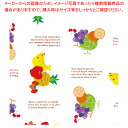 包装紙 リアルフルーツ 全判【厨房館】