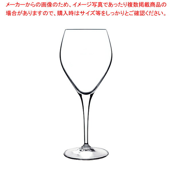 アトリエ レッドワイン(6ヶ入) 10410/02【人気 業務用 販売 楽天 通販】【厨房館】