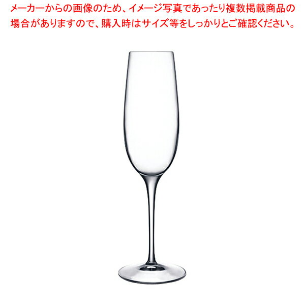 バラス フルート(6ヶ入) 09233/06【人気 業務用 販売 楽天 通販】【厨房館】