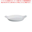 9-2305-0401 8-2256-0403 RAP0609 001-0073868-101【APILCO（アピルコ） 洋食器 販売 通販 楽天 業務用】