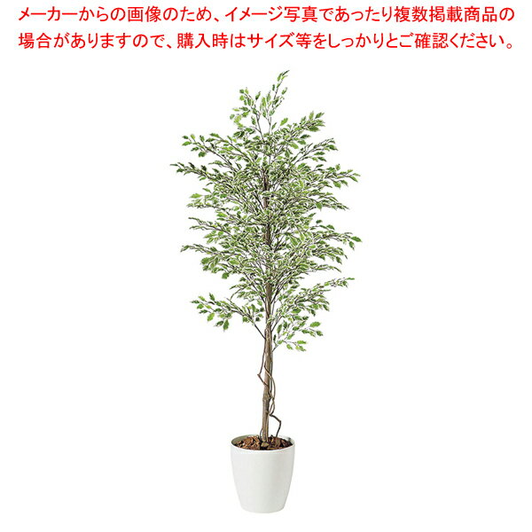 SG ベンジャミナ スターライト 90719 1.8m【人工樹木 作り物】【厨房用品 調理器具 料理道具 小物 作業..