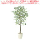 SG ベンジャミナ スターライトトリプル 90725 1.8m【人工樹木 作り物】【厨房用品 調理器具 料理道具 小物 作業 厨房用品 調理器具 料理道具 小物...