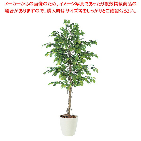 SG フィッカスベンジャミナ 90706 2.0m【人工樹木 作り物】【厨房用品 調理器具 料理道具 小物 作業 厨房用品 調理器具 料理道具 小物 作業 業務用】【厨房館】