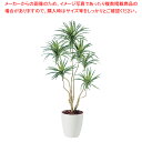 SG コンシナ トリコロル 90749 1.4m【人工樹木 作り物】【メーカー直送/代引不可 厨房用品 調理器具 料理道具 小物 作業 業務用】【厨房館】