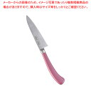 遠藤商事 / TKG PRO 抗菌カラーぺティーナイフ 12cm ピンク【洋庖丁 洋包丁 ぺティナイフ 業務用】【厨房館】