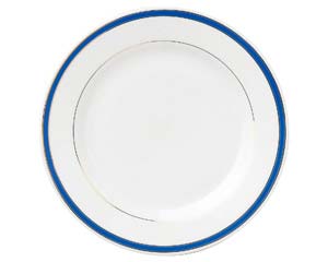 【まとめ買い10個セット品】 オ571-538 玉渕ブルーライン 9インチミート【キャンセル/返品不可】【厨房館】