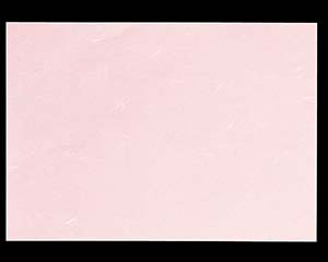 【まとめ買い10個セット品】 オ746-218 高級コピー用和紙CT-04 ピンク A4 (ミシン目無し)【キャンセル/返品不可】【厨房館】