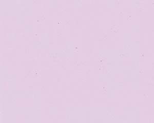 【まとめ買い10個セット品】 オ746-558 色彩耐油紙TA-C09PN ピンク 3寸【キャンセル/返品不可】【厨房館】