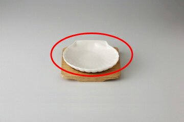 和食器 NB貝型 コキール(小) 37Y421-08 まごころ第37集 【キャンセル/返品不可】【厨房館】(3.0)