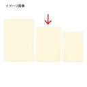 シンビ 中紙 洋-20 ベージュ【厨房館】