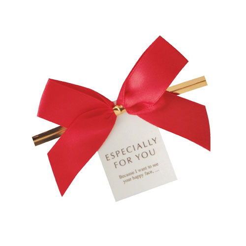 リボン付きワイヤータイ レッド リボン 10個 61-431-85-1 【店舗什器 小物 ディスプレー ギフト ラッピング 包装紙 袋 消耗品 店舗備品】【厨房...