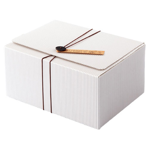 ボタンタグ付きホワイトギフトボックス 21.1×16.3×10.2 10枚 61-285-4-3 【店舗什器 小物 ディスプレー..