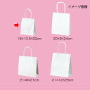 【まとめ買い10個セット品】丸ひも ローコストタイプ 白無地 18×10.5×22 300枚 61-658-55-13 【店舗什器 小物 ディスプレー ギフト ...