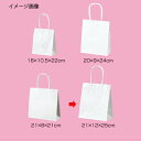 【まとめ買い10個セット品】丸ひも ローコストタイプ 白無地 21×12×25 50枚 61-658-55-3 【店舗什器 小物 ディスプレー ギフト ラッピン...
