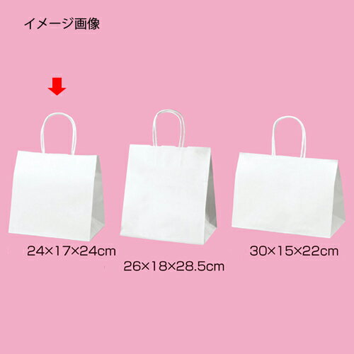 丸ひもタイプ 白無地 24×17×24 50枚 61-431-25-1 【店舗什器 小物 ディスプレー ギフト ラッピング 包装紙 袋 消耗品 店舗備品】【厨房館】