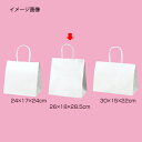 【まとめ買い10個セット品】丸ひもタイプ 白無地 26×18×28.5 200枚 61-431-25-14 【店舗什器 小物 ディスプレー ギフト ラッピング ...