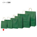 手提げ紙袋 グリーン 21×12×25cm 300枚 61-309-8-9 【ラッピング用品 紙袋 手提げ紙袋(無地) カラー手提げ紙袋 グリーンHEIKO 紙...