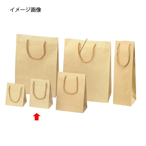 【まとめ買い10個セット品】エンボス クラフト 12×7×16.5 10枚 61-313-9-3 【店舗什器 小物 ディスプレー ギフト ラッピング 包装紙 袋 消耗品 店舗備品】【厨房館】