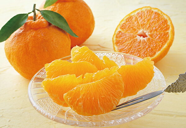 デコポン（佐賀県産）DKP6＜12月5日以降発送〜12月24日以降お届け不可＞＜送料込み・クール便＞＜二重..