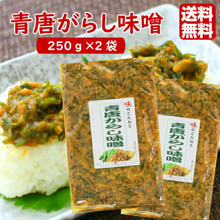 送料無料 青唐がらし味噌 (250g) 2袋セット ご飯のお供 お酒のおつまみ 青唐辛子味噌 青唐辛 ...