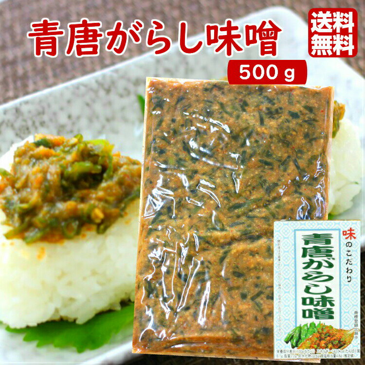 送料無料 青唐がらし味噌 (500g) 業務用 お買い得 ご飯のお供 お酒のおつまみ 青唐がらし みそ 青唐辛子味噌 信州 馬…