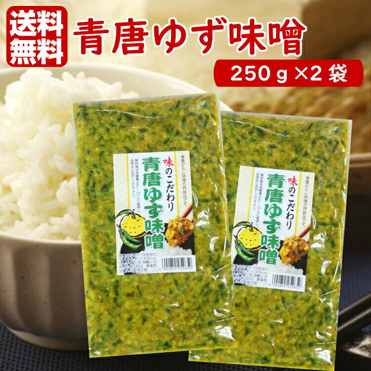 送料無料 青唐ゆず味噌（250g）2袋セット 青唐がらし味噌 青唐辛子味噌 ゆずみそ 柚子味噌 柚子みそ ゆず味噌 青唐辛子 青唐がらし 惣菜 万能調味料 ラー油鮭ン 馬場音一商店 お土産 郡山銘販 まざっせこらっせ