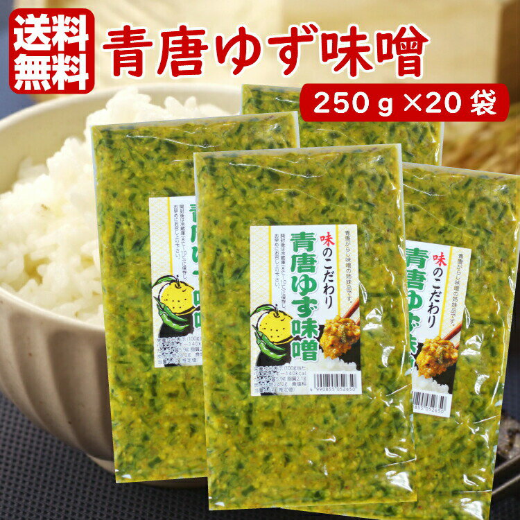 送料無料 青唐ゆず味噌（250g）20袋セット 青唐がらし味噌 青唐辛子味噌 ゆずみそ 柚子味噌 柚子みそ ゆず味噌 青唐辛子 青唐がらし 惣菜 万能調味料 ラー油鮭ン 馬場音一商店 お土産 郡山銘販 まざっせこらっせ