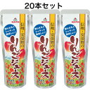 【マラソン期間P5倍】信州のりんごジュース フルーツバー 20本セット ゴールドパック シャーベット リンゴジュース 信州りんごジュース 林檎 アップルシャーベ...