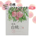 福島 白桃シフォンケーキ(20個)白桃 白桃ケーキ シフォンケーキ もも 桃ケーキ 白桃シフォン カスタードクリーム 福島県桃 福島の桃 福島土産 個包装土産 ...