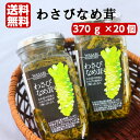 送料無料 わさびなめ茸(370g)20個セット わさびなめたけ なめ茸 なめたけ わさび 山葵 ワサビ ご飯のお供 万能調味料 おつまみ まざっせこらっせ 馬場音一商店 お土産 郡山銘販 その1
