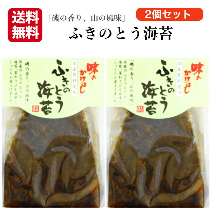 送料無料 ふきのとう海苔 250g 2袋セット ふきのとう 