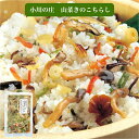 山菜きのこちらし(2合分) 山菜 きのこ ちらし 山菜きのこご飯 山菜ごはん きのこごはん 山菜ご飯 混ぜご飯 まぜご飯 炊き込みご飯の素 きのこご飯の素 山菜...