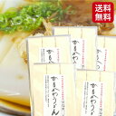 【楽天スーパーSALE期間P5倍】ひもかわうどん 15人前(3人前×5袋セット) ひもかわ うどん 半生うどん 幅広うどん 幅広めん 半生麺 おきりこみ おきり...